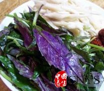 紫背天葵大枣汤的做法及功效